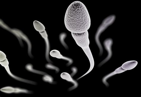 Spinning Semen Provides A Measurement Of Fertility Imperial News Imperial College London