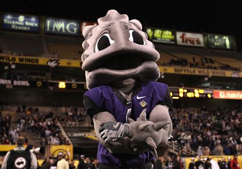 30 Best College Football Mascots Of All Time Page 8