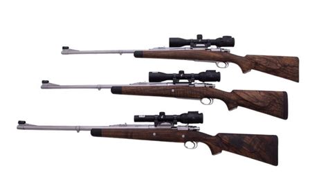 What Makes The Perfect Battery Of African Hunting Rifles Field And Stream
