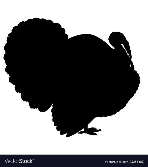 turkey silhouette isolated on the white background