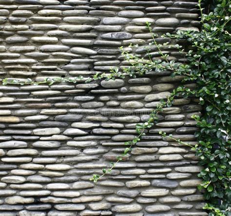 Pebble Stone Wall With Leaves Stock Photo Image Of Frame Build 55732018