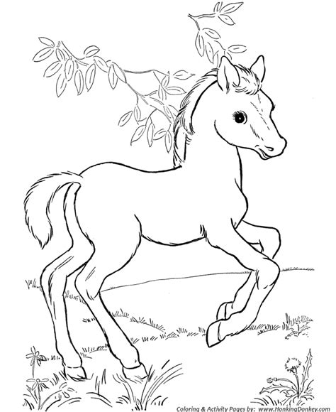 Horse Coloring Pages Printable Horses And Foal Coloring Page
