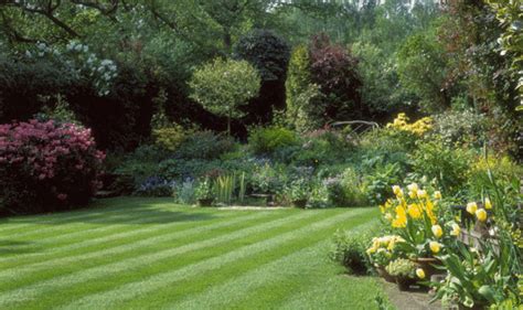 How To Keep Lawn Grass Neat During Summer Uk