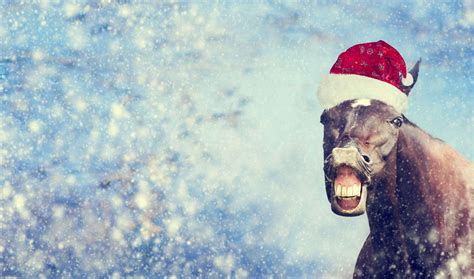 Weird And Wacky Christmas Traditions Around The World