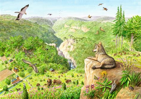 1st World Rewilding Day On The 20th Of March 2021 The Sun Equinox