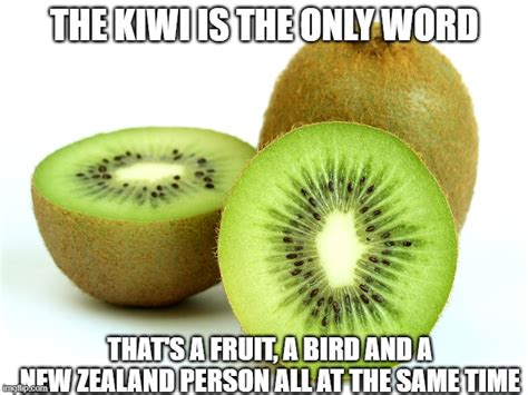 Kiwi Memes Imgflip