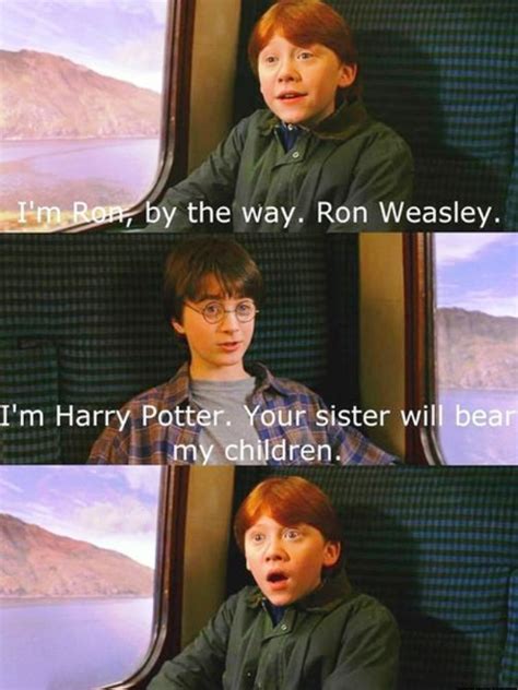 52 Great Harry Potter Memes