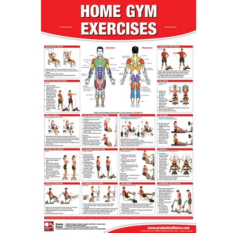 Home Gym Exercises Chart Southern Workout Store