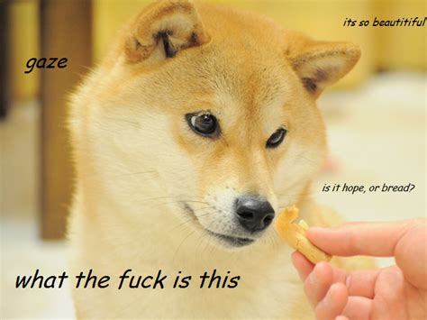 Image 582552 Doge Know Your Meme