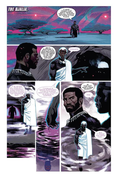 Black Panther 2018 Chapter 20 Page 10