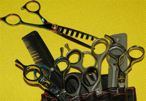 To Establish A Mobile Hairdressing Business Buy Tools And Portable