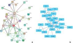 SciELO Brasil Microarray And Bioinformatic Analysis Of Conventional