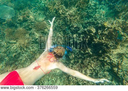 Woman Coral And Fish Underwater Images Illustrations Vectors Free