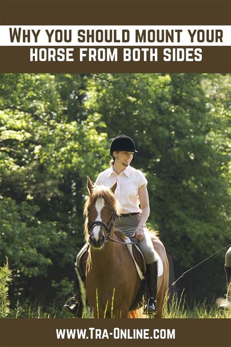Make Sure Your Horse Is Comfortable With You Mounting And Dismounting