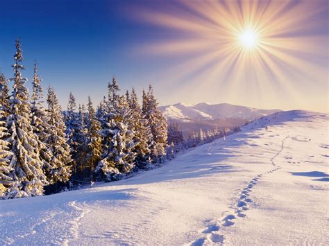 Winter Snow Forest Trails Mountains Sky Sun 750x1334 Iphone 876