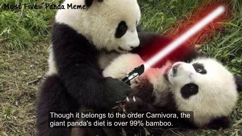 Chinese Panda Meme Emoji