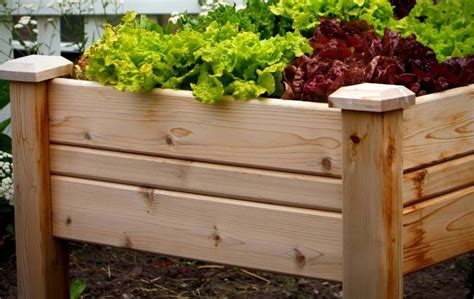 How To Build A Raised Vegetable Bed On Legs