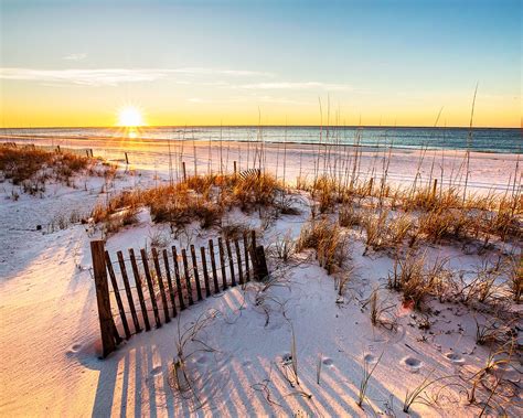Pensacola Beach Photography Beach Dunes Pensacola Sunrise Print