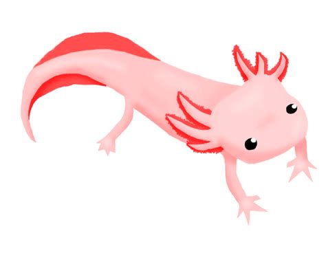 Cute axolotl vector clip art. Axolotl by petpet21-7 on DeviantArt