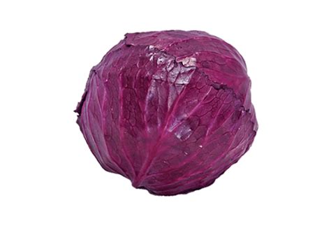 Red Cabbage Png Hd Png Mart