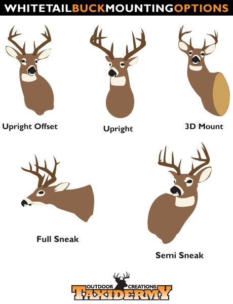 Deer Mount Position Chart