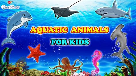Learn Aquatic Animals For Children Water Animals For Kids Aquatic