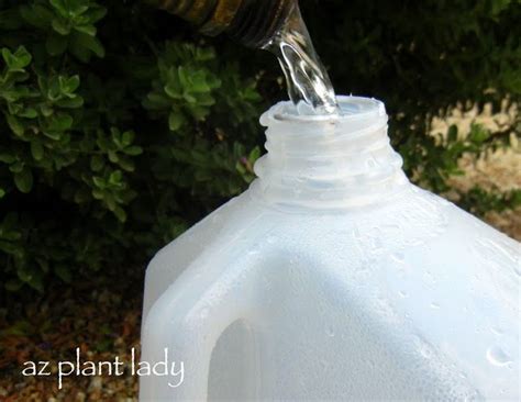 Diy Garden Project Portable Drip Irrigation Using A Recycled Milk Jug