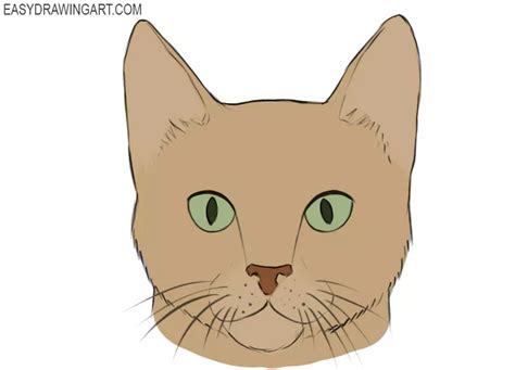 How To Draw A Cat Face Easy Drawing Art