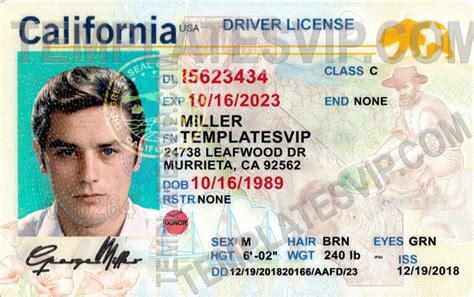 New Jersey Nj Drivers License Psd Template Download 2022