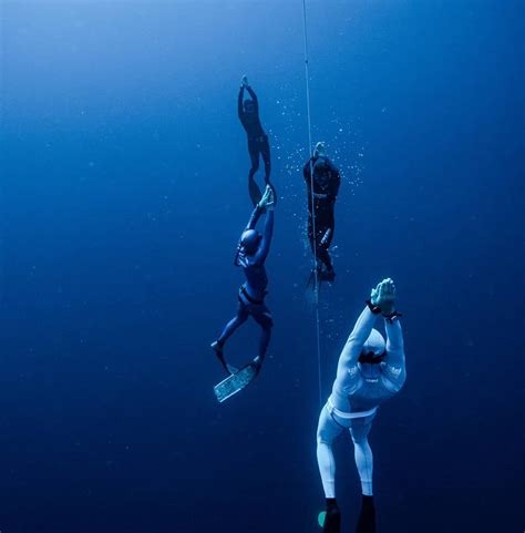 Blue Alchemy Freediving Freediving