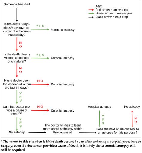 Forensic Sciences | Free Full-Text | Autopsy by Imaging: The Last 10 Years
