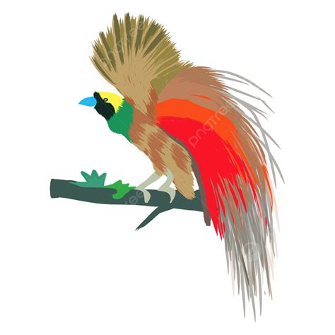 Attractive Bird Of Paradise Logo Vector Birds Of Paradise Beauty