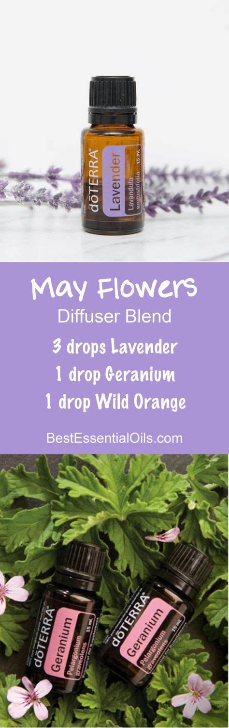 Doterra Spring Diffuser Blends With Essential Oils Best Essential