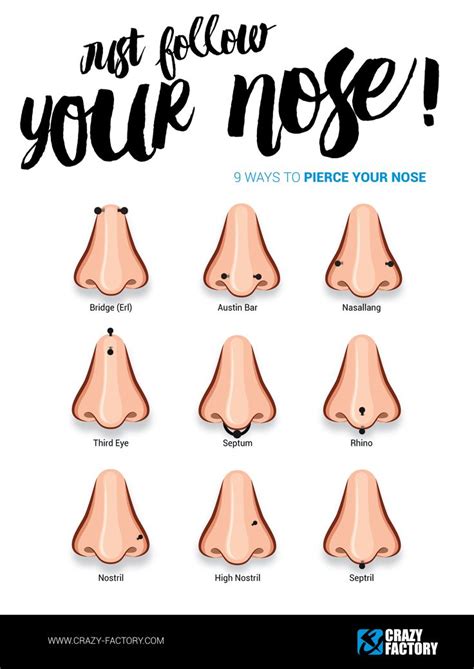Piercing Infographic Nose Nose Piercing Face Piercings Body Piercings