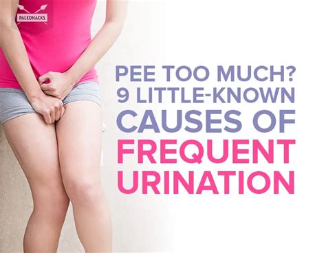 Babe Known Causes Of Frequent Urination In Frequent Urination Frequent Urination