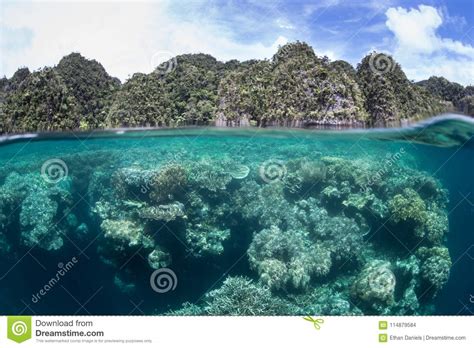 Shallow Coral Reef And Islands In Raja Ampat Indonesia Stock Photo