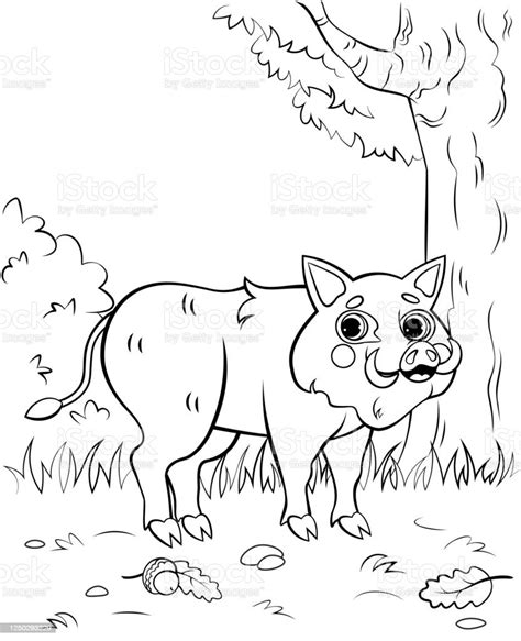 Coloring Page Outline Of Cute Cartoon Hog Or Boar Vector Image With