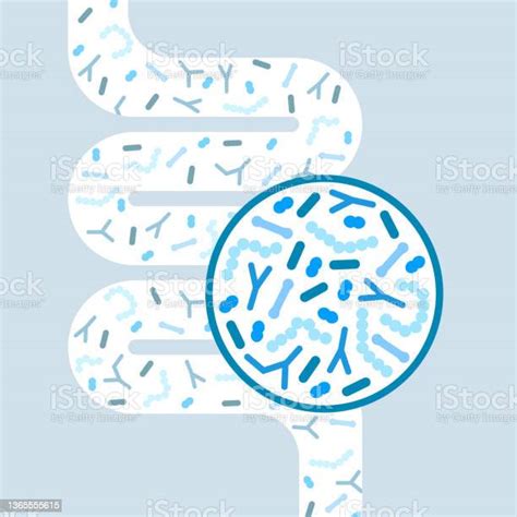 Ilustración De Concepto De Microbioma Intestinal Microbiota Intestinal