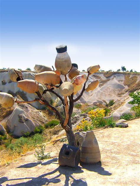 Fotoğraf Peyzaj Ağaç Kaya çöl çiçek Tencere Ağaçlar Sanat Elementler Dekoratif