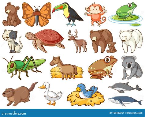 Large Set Of Wildlife With Many Types Of Animals Stock Vector