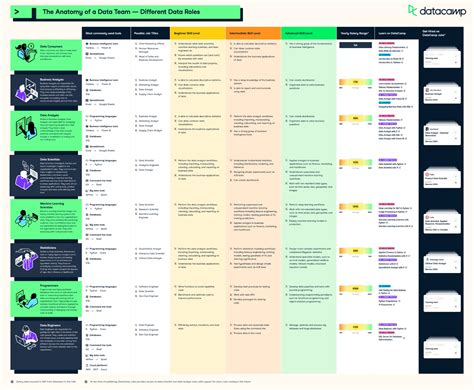 Data Skill Learning Paths Datacamp Hot Sex Picture