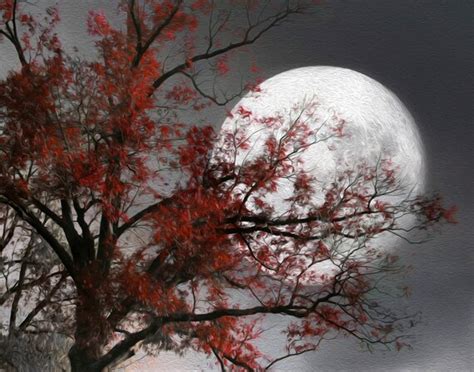 Black White Red Tree Moon Wall Art Photography Modern Red