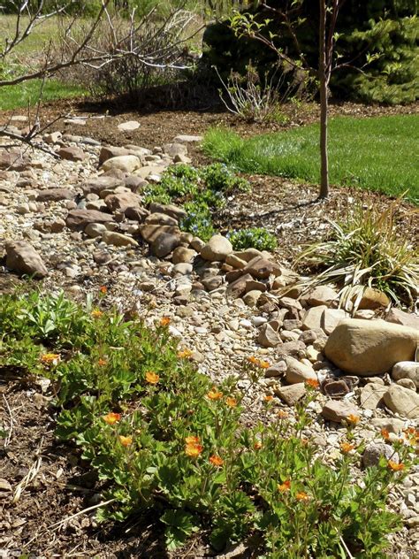25 Gorgeous Dry Creek Bed Design Ideas Style Estate Dry Creek Bed