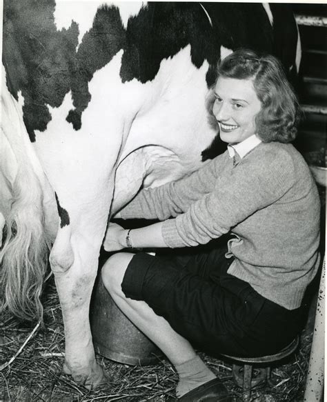 On The Banks Of The Red Cedar Woman Milking Cow Circa 1943