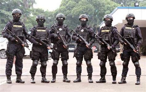 Special Enforcement Team Set Bea Cukai Kanal Informasi