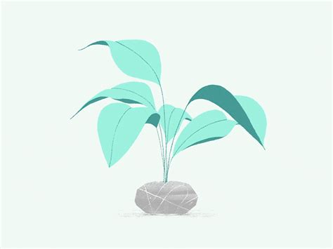 Plant Motion Design Animation Animation Design Animation Sketches