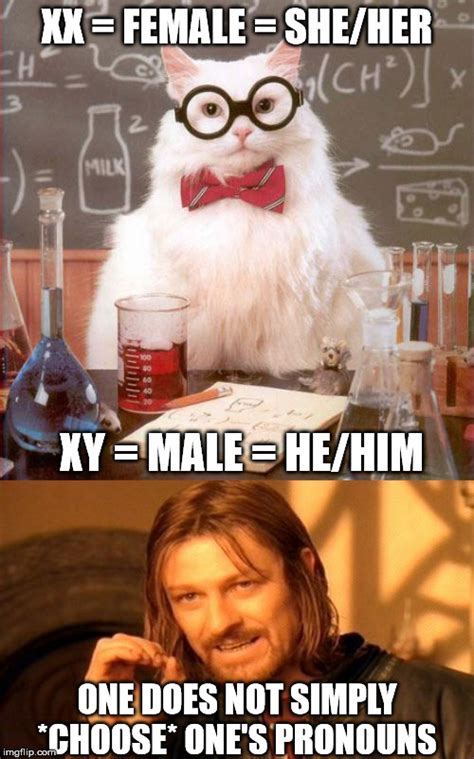 Science Memes Photos