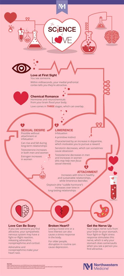 the science of love infographic turner blog