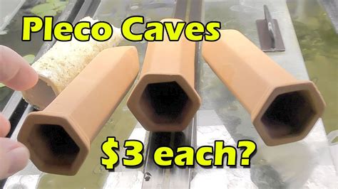 Terra Cotta Pleco Caves For 3 Each Works Great Youtube