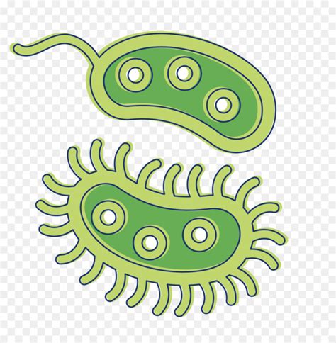 Download High Quality Bacteria Clipart Cartoon Transparent Png Images